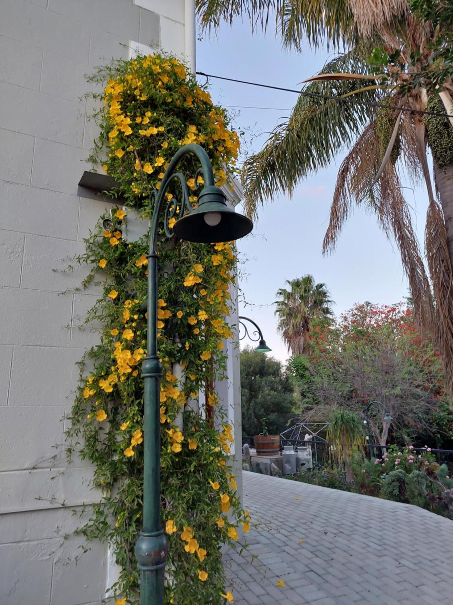 Haus Müller Otel Clanwilliam Dış mekan fotoğraf
